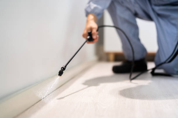 Licensed Pest Control service in Fayetteville, NC - Show Me Pest Control