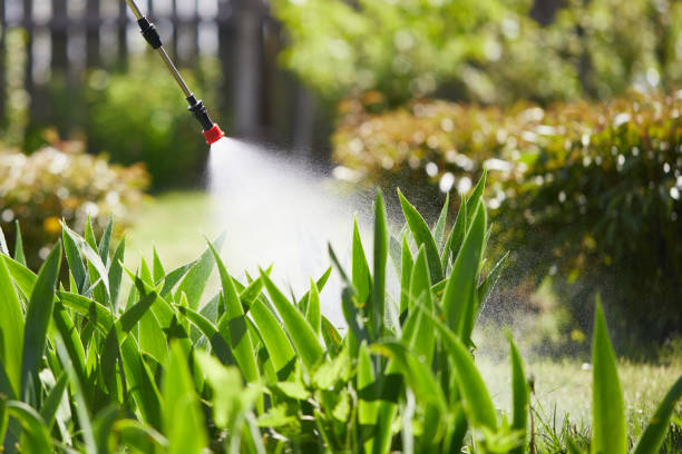 24/7 Emergency Mosquito Control experts in Fayetteville, NC