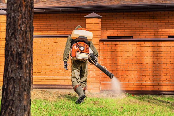 Top rated local Mosquito Control specialists in Fayetteville, NC